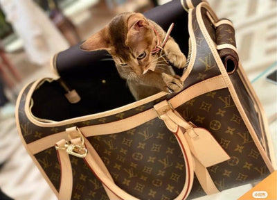 Inspired LV Animal Carrier